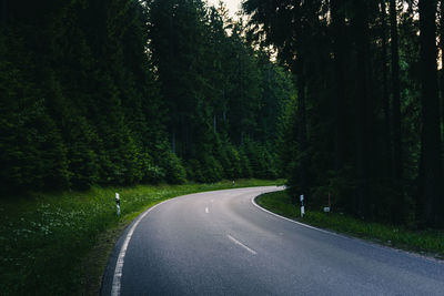 Road amidst trees in forest