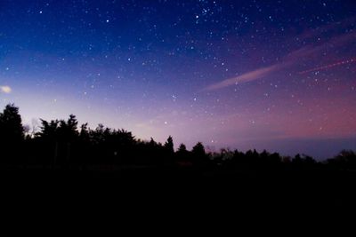 Silhouette trees against sky at night