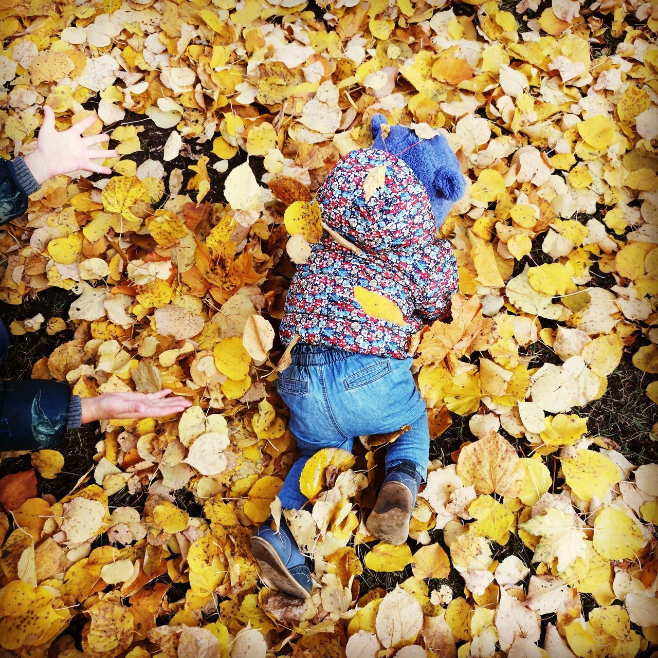 HIGH ANGLE VIEW OF WOMAN BY DRY LEAVES ON PEBBLES