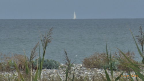 Scenic view of sea against clear sky
