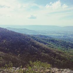 Scenic view of landscape against sky