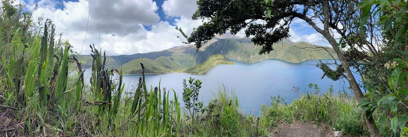 Panoramic shot of land and trees against sky