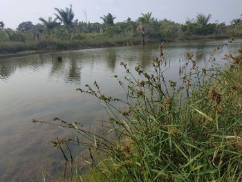 Scenic view of lake against sky