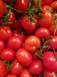 Full frame shot of red tomatoes