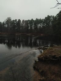 Scenic view of lake in forest against sky