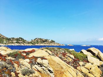 Scenic view of sea against clear blue sky