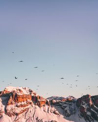 Flock of birds flying in sky during winter