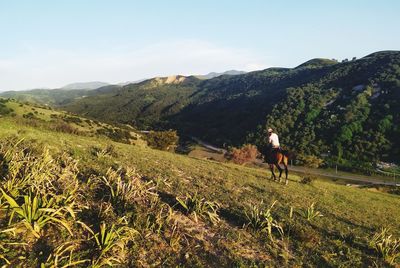 View of horse riding horses on landscape