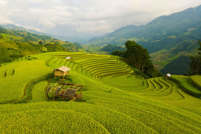 Scenic view of terraced field against sky