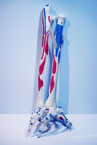 Close-up of umbrellas against white background