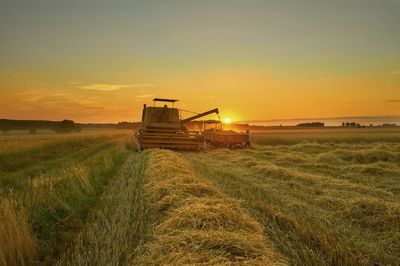 Scenic view of grassy field against sky at sunset