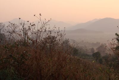 Scenic view of mountains
