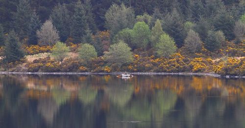 Scenic view of lake in forest during autumn