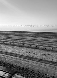 Scenic view of agricultural field against clear sky