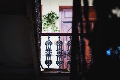 Plants against building