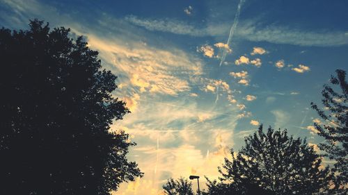 Low angle view of trees against cloudy sky