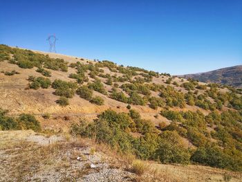 Scenic view of landscape against clear blue sky