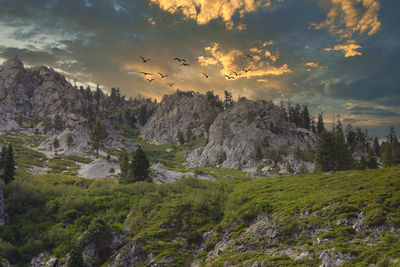 Scenic view of landscape against sky