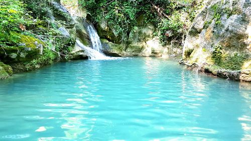 Scenic view of waterfall in forest