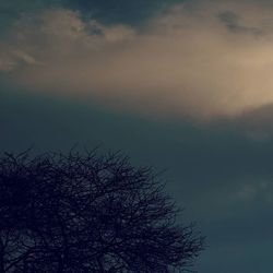 Low angle view of bare trees against sky