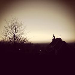 Low angle view of silhouette bare tree against sky