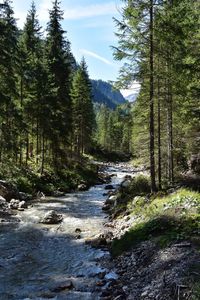 Scenic view of waterfall in forest against sky