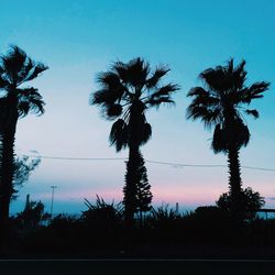 Silhouette trees against sky at night