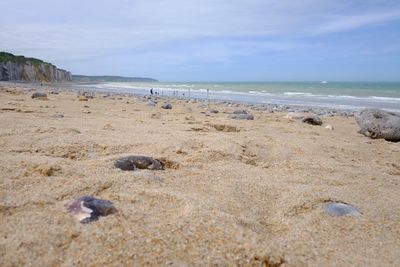 Scenic view of beach against sky