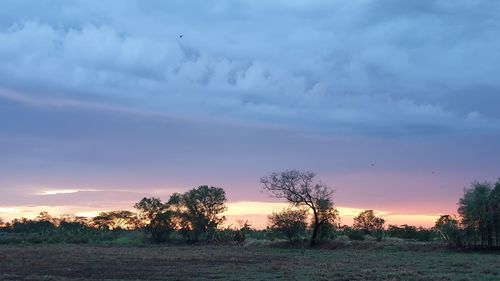 Scenic view of field against sky during sunset
