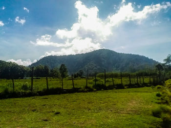 Scenic view of field against sky