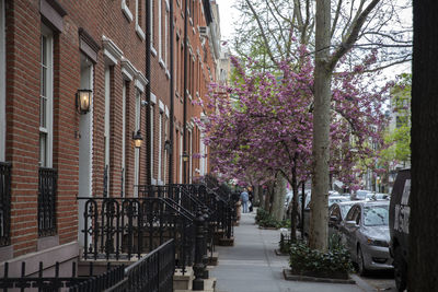 Street amidst buildings and trees in city