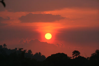 Low angle view of silhouette trees against orange sky