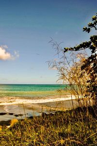 View of beach against sky