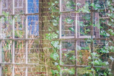 Full frame shot of glass window of building