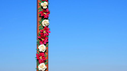 Low angle view of multi colored flowers against clear blue sky