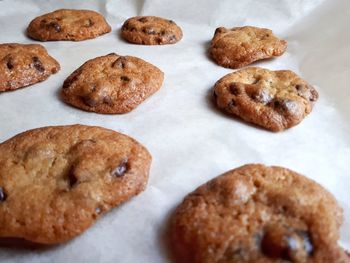 High angle view of cookies