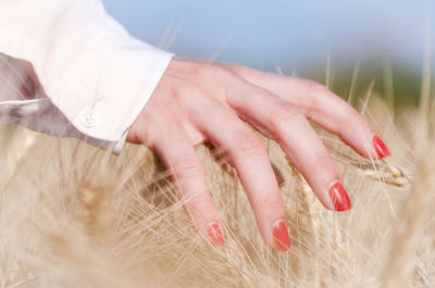 Close-up of woman hands