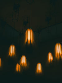 Illuminated light bulbs at night