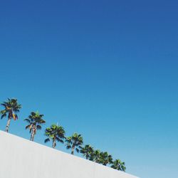 Low angle view of palm trees against clear blue sky