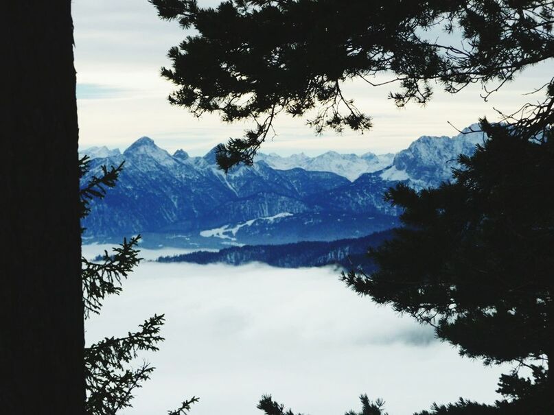 mountain, mountain range, scenics, tranquil scene, tranquility, beauty in nature, tree, sky, nature, snowcapped mountain, landscape, idyllic, non-urban scene, majestic, cloud - sky, cloud, day, non urban scene, remote, outdoors, no people, weather, tourism, travel destinations