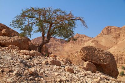 Rock formations in a desert