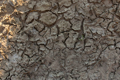 Full frame shot of cracked land