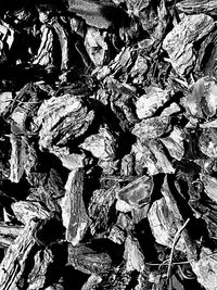 Full frame shot of stack of leaves