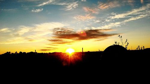 Silhouette of trees at sunset