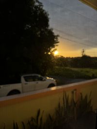 light