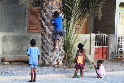 Rear view of children playing on palm tree