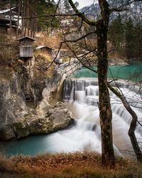 Scenic view of waterfall by trees