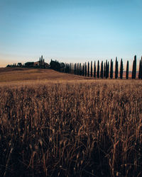 horizon