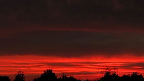 Silhouette trees against dramatic sky during sunset