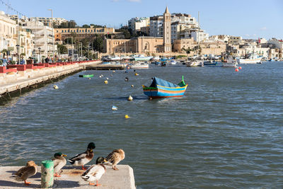 Marsaskala harbour, malta